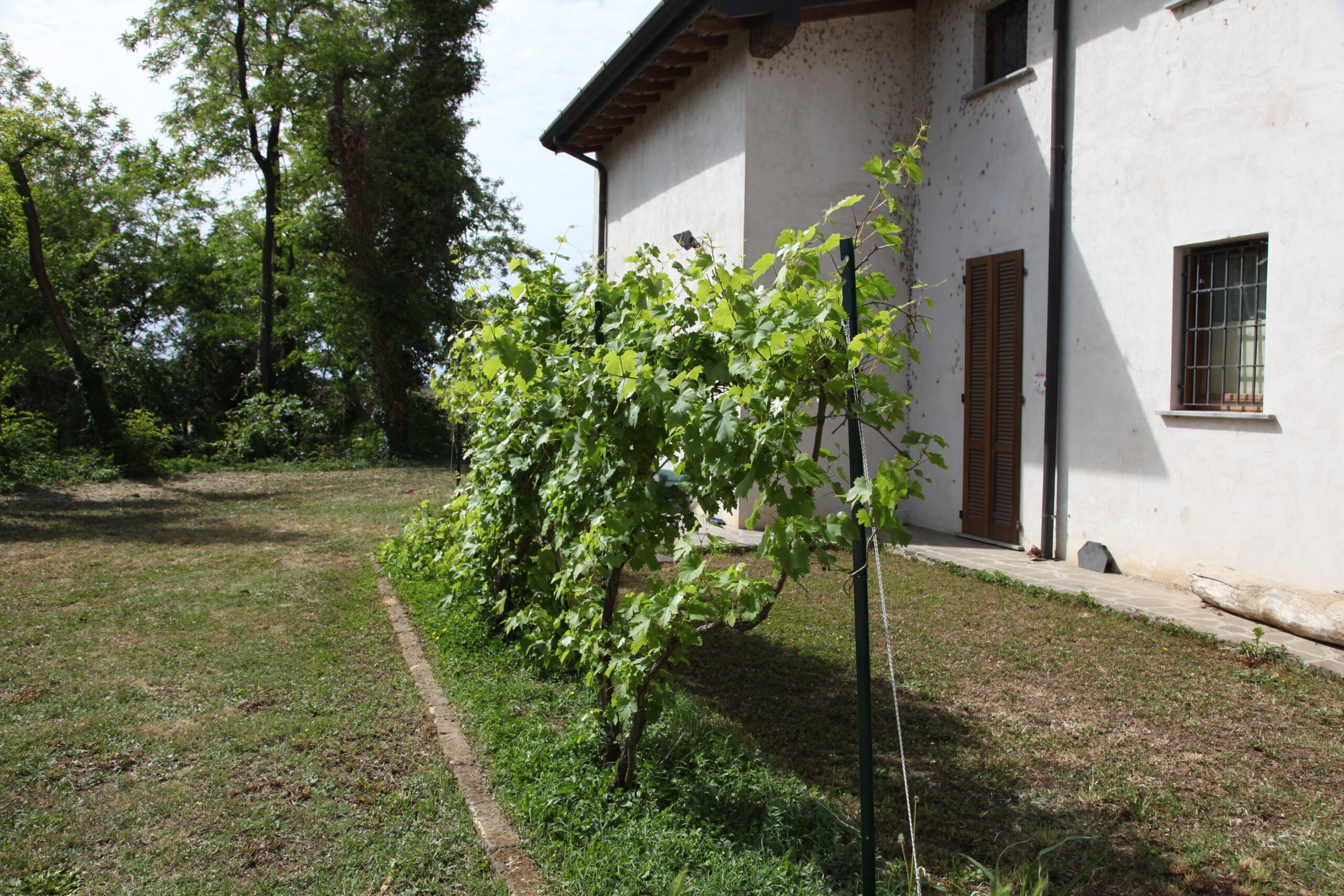 Fattoria della Carità