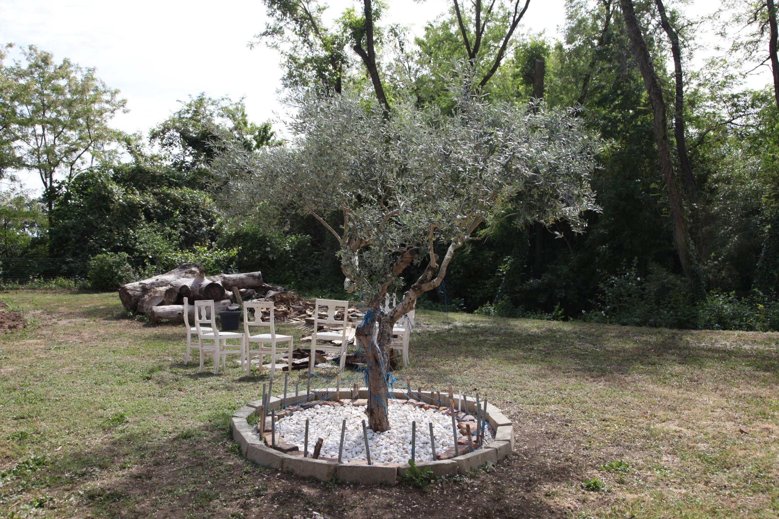 Fattoria della Carità
